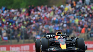 F1: Verstappen appel&eacute; &agrave; survoler le Hungaroring, record en vue pour Red Bull en Hongrie