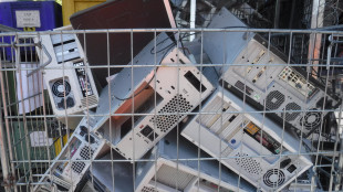 La raccolta dei Raee torna a crescere nel 2024 in Italia