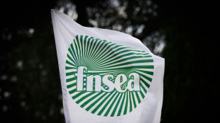 Agriculture: des actions "symboliques" pour dénoncer des importations "aberrantes"