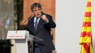 Fuite de Carles Puigdemont: un troisi&egrave;me policier catalan arr&ecirc;t&eacute;