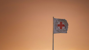 Cruz Roja convoca una reunión mundial sobre abusos del derecho internacional