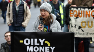 A Londres, Greta Thunberg arr&ecirc;t&eacute;e en marge d'une conf&eacute;rence &eacute;nerg&eacute;tique