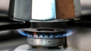 EU-Energieminister einigen sich auf Obergrenze bei Gaspreisen