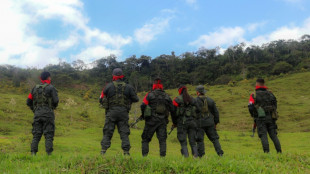 Guerrilhas 'assolam' fronteira da Colômbia diante da 'escassa' proteção do governo