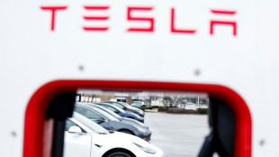 Gobierno de EEUU logra acuerdo con Elon Musk por cargadores de autos el&eacute;ctricos