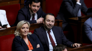 Assembl&eacute;e : le RN retire un deuxi&egrave;me texte, dans un h&eacute;micycle tendu