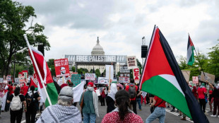Des milliers de manifestants anti-Netanyahu avant son discours au Congr&egrave;s am&eacute;ricain