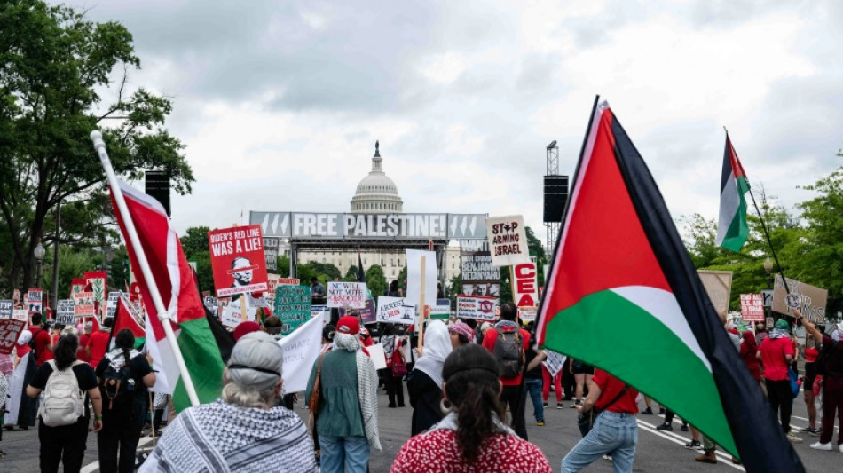 Des milliers de manifestants anti-Netanyahu pr&egrave;s du Congr&egrave;s am&eacute;ricain avant son discours