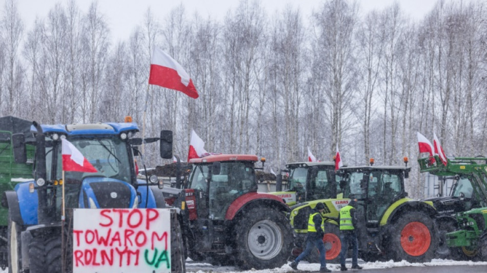 Ukraine: accord dans l'UE pour plafonner les importations de volailles, ma&iuml;s et avoine