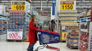 El FMI espera que la econom&iacute;a argentina "empiece a crecer" en el segundo semestre