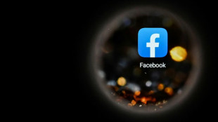 Sur Facebook, des pages leurres pour tromper les &eacute;lecteurs am&eacute;ricains, selon une &eacute;tude