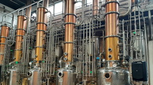 Decreto bollette, ridotti i sostegni alle bioenergie
