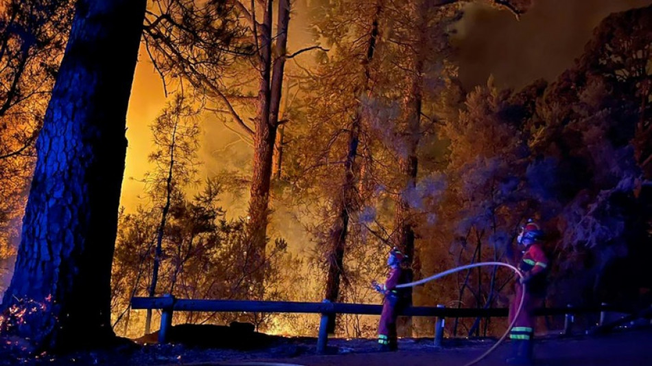 Incendie &agrave; Tenerife: d&eacute;but de "normalisation", pr&egrave;s de 4.000 hectares br&ucirc;l&eacute;s