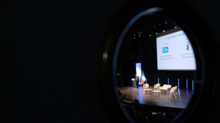 Buscar una IA que resuelva todos los problemas es "una tonter&iacute;a", asegura un investigador