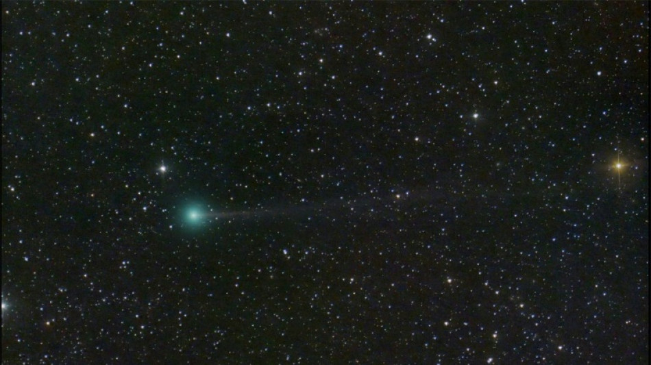 La comète Nishimura, tout juste découverte, visible dans le ciel