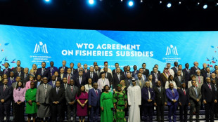 La OMC pide reformar el sistema comercial multilateral en la reuni&oacute;n de Abu Dabi