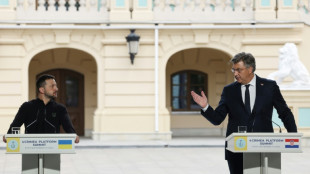 Zelensky plaide &agrave; Dubrovnik pour que l'UE unisse "l'ensemble du continent"