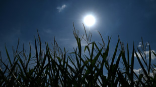 Canicule en Europe : plus de 35&deg;C pr&eacute;vus pour au moins 150 millions d'habitants vendredi
