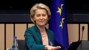 EU vor Importverbot f&uuml;r russische Kohle, Holz und Wodka