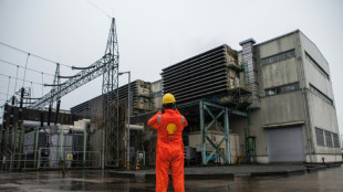 Shell sells onshore Nigeria unit, exits Niger Delta