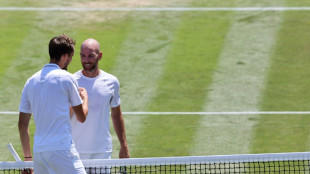 Wimbledon: Mannarino impuissant face &agrave; Medvedev