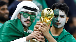 Saudi ready for summer or winter World Cup after rapid bid process
