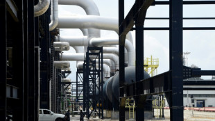 La AIE prev&eacute; el punto culminante de la demanda mundial de petr&oacute;leo "antes del final de la d&eacute;cada"
