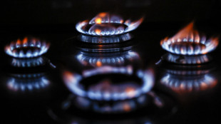 In lieve rialzo l'indice italiano del gas