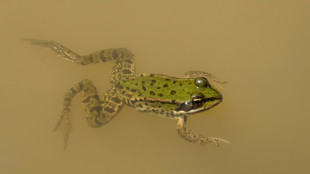 Koalition will f&uuml;r Ausbau von Stra&szlig;en und Schienen Verbandsklagerecht einschr&auml;nken