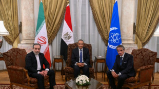 El canciller iraní se reunirá en Egipto con el jefe del organismo nuclear de la ONU