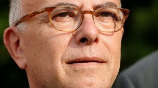 Gouvernement: l'hypoth&egrave;se Bernard Cazeneuve agite une gauche partag&eacute;e sur la strat&eacute;gie