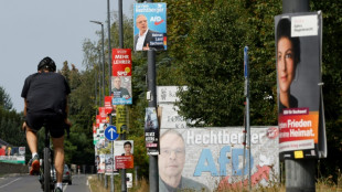 Bericht: Gr&uuml;ne &uuml;berfl&uuml;geln andere Parteien bei Budget f&uuml;r Bundestagswahlkampf