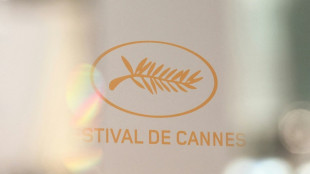 Entre a festa e o glamour, Festival de Cannes tamb&eacute;m dever&aacute; ter reivindica&ccedil;&otilde;es