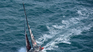Transat Jacques Vabre: en Imoca, du neuf, du vieux et une "belle bagarre"
