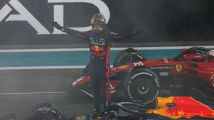 World champion Verstappen wins Abu Dhabi Grand Prix