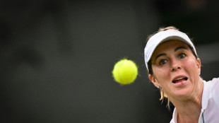 'Stole the game': Wimbledon line-calling tech malfunctions