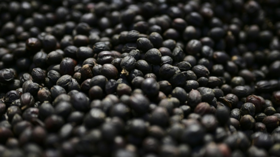 Trump signs order to lower tariffs on beef, coffee, other goods