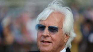 Arabian Knight favored in Classic amid Breeders' Cup horse safety concerns