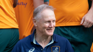 Schmidt eager for fan's eye view before last Dublin clash as Wallabies boss 