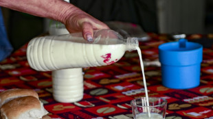 A Cuba, une course d'obstacles pour avoir du lait au petit-d&eacute;jeuner