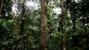 Conservar o explotar el Yasun&iacute;: el debate clim&aacute;tico se traslada a las urnas de Ecuador