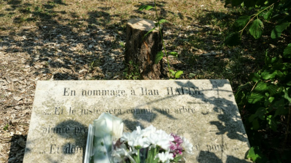 Abattage d'un olivier rendant hommage à Ilan Halimi: deux hommes interpellés