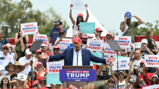 Elus, grands patrons: Trump &agrave; Washington pour une op&eacute;ration s&eacute;duction