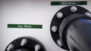 Hauts-de-France: une ONG alerte sur une pollution de l'eau au fongicide