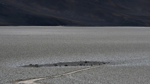 La empresa estatal chilena acusa ante la justicia a francesa Eramet de "entorpecer" un proyecto de litio