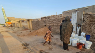 Sudan war kills 12 more in Darfur fighting: doctor