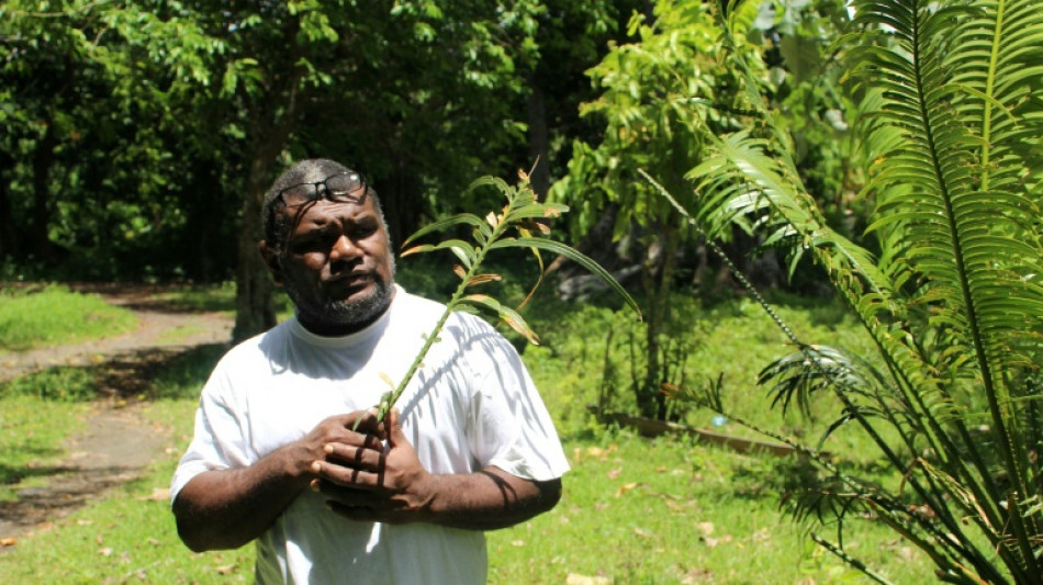 Sacred leaf offers hope for Vanuatu's threatened forests
