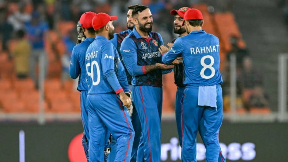 Afghanistan 'future's bright' after memorable World Cup