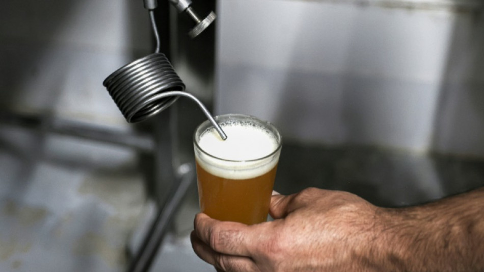 En Cisjordanie, exporter des bi&egrave;res malgr&eacute; les obstacles li&eacute;s &agrave; la guerre
