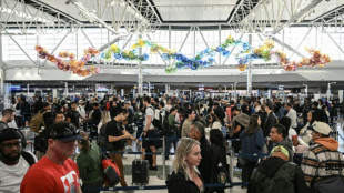 US air travel could 'slow to a trickle' as shutdown bites: transport secretary